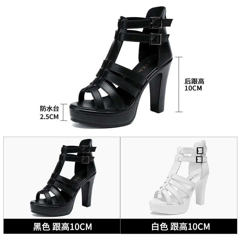 Gladiator Ladies Shoe for Wome - Women'S Fashion Q ulasan dan harga